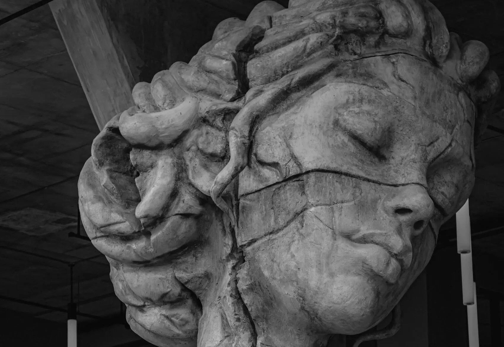 Until My Dying Day by Lesley Bungay