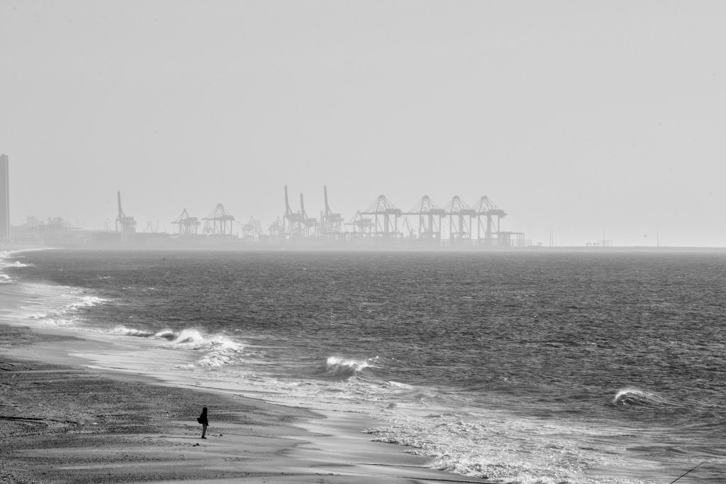 It’s Been Burning for a While by Anna&nbsp;Booraem