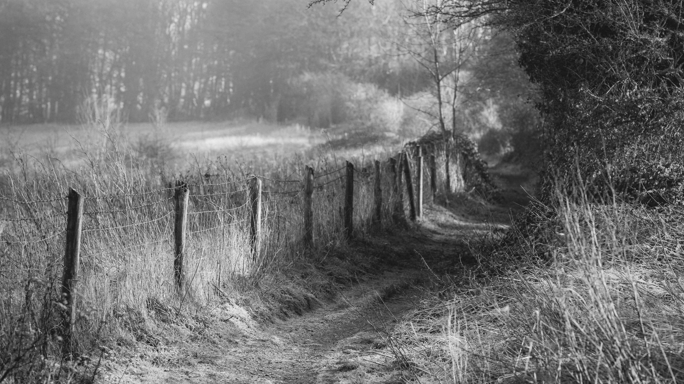 Swinney Lane, Insanely New by David Gladwin