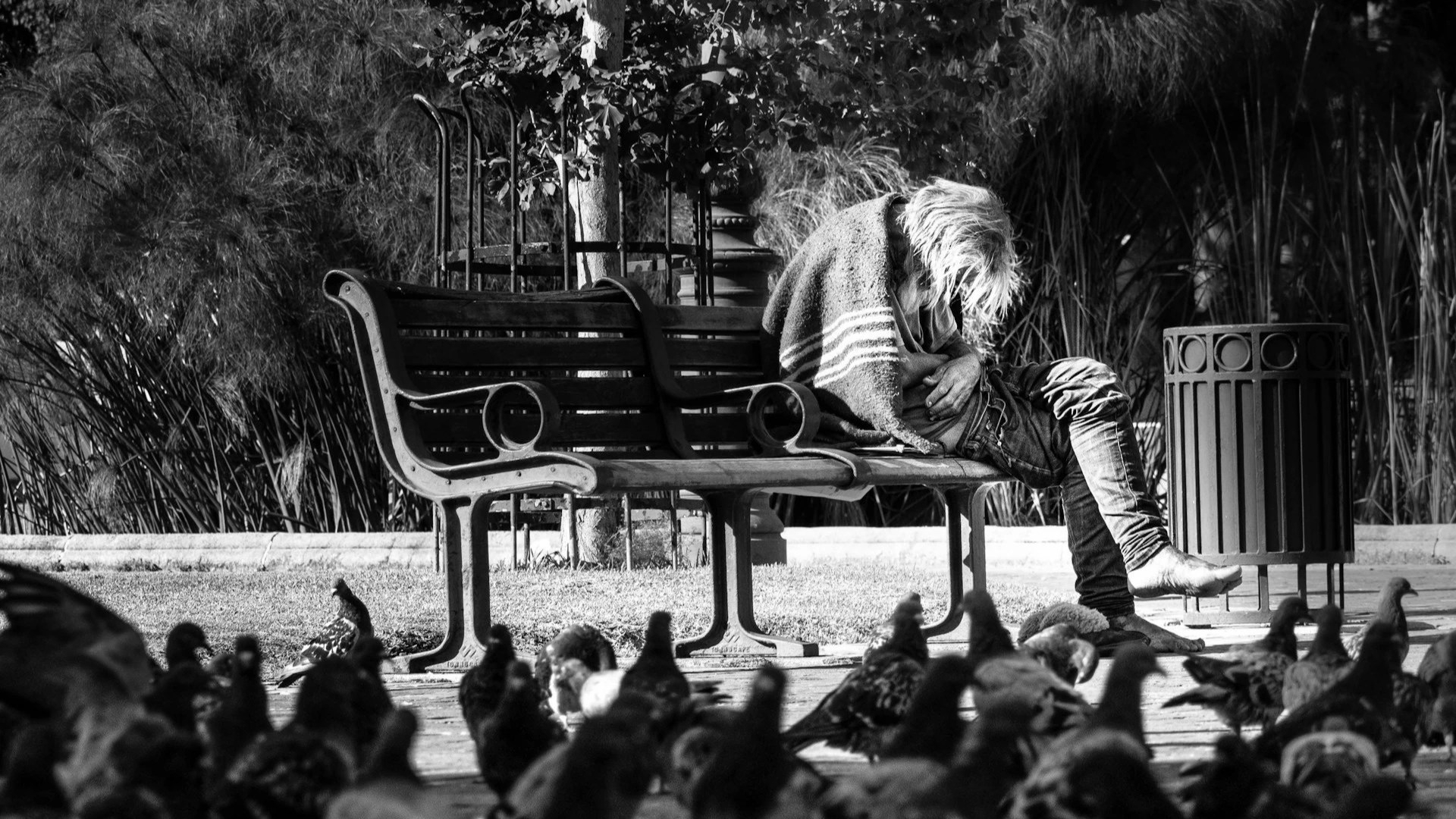 The Women in My Life by Tim Love
