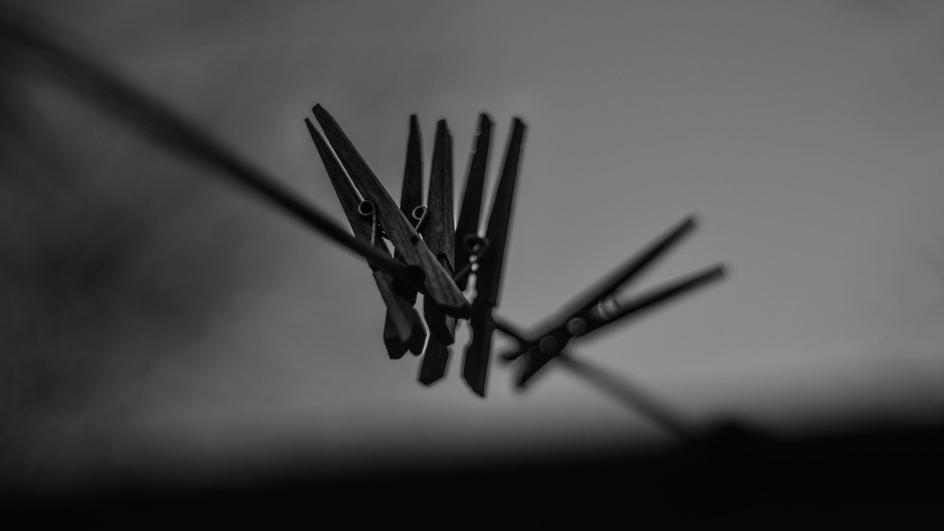Clothesline Murmurs by Cheryl Rebello