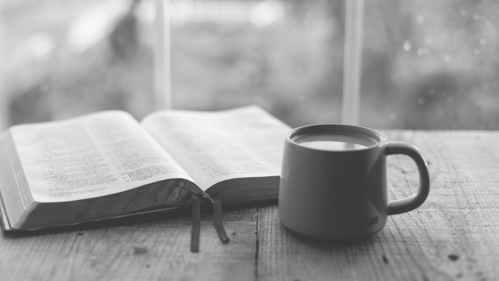 Sanctuary by Ali&nbsp;Rowland