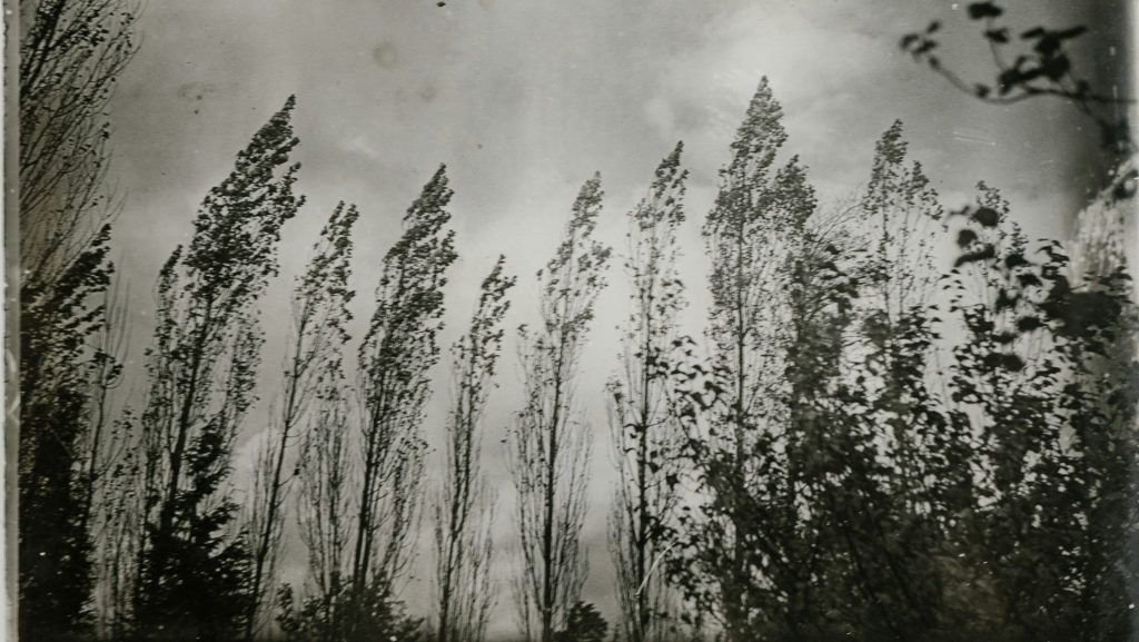 Against the Current by E. C.&nbsp;Traganas