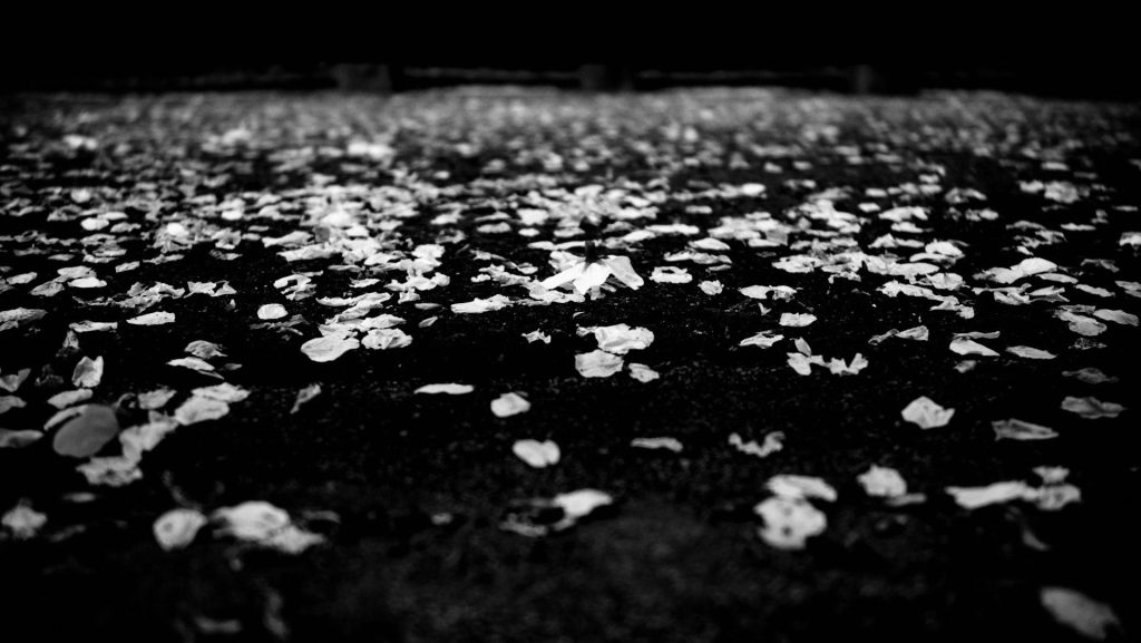 To Be Violet by Lailee&nbsp;Zakir