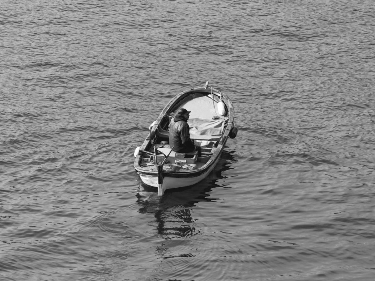 Fly Hook by R.W.&nbsp;Chapman